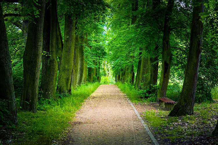 Endless Path-CP102.jpg